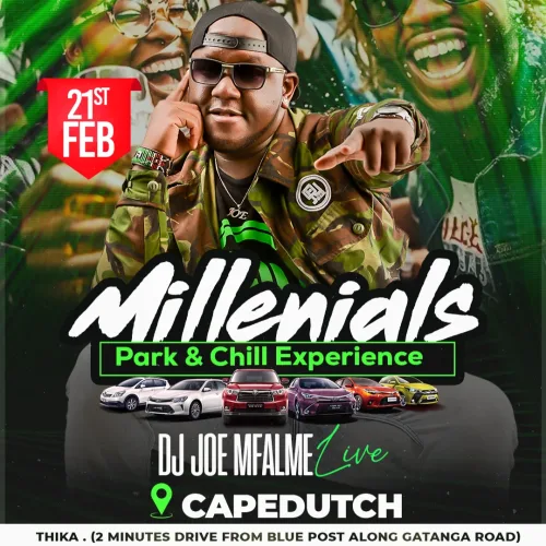 Millenials park and chill eprencience